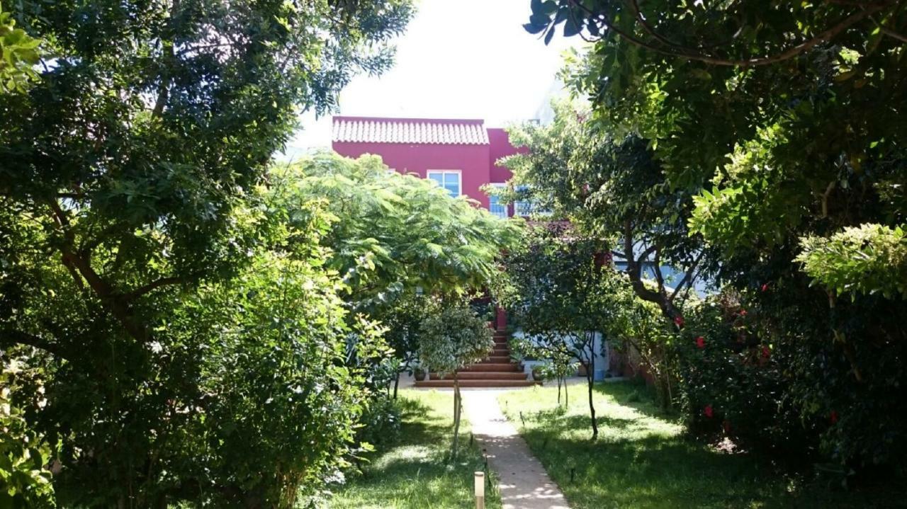 Casa El Tonelero Con Jardin Y Piscina Privada Villa Galdar Exterior photo